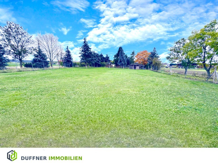 Wiese Einfamilienhaus Bad Schmiedeberg