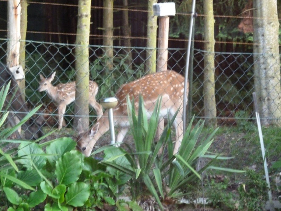 Ausblick Wintergarten Einfamilienhaus Dobersdorf