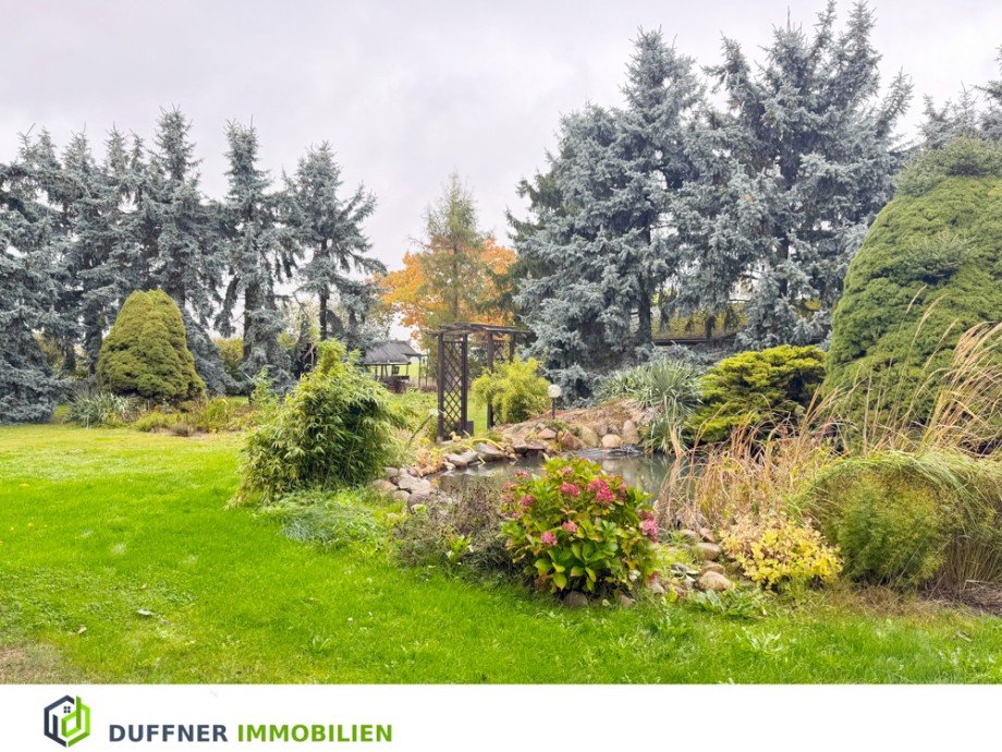 Gartenteich Einfamilienhaus Bad Schmiedeberg