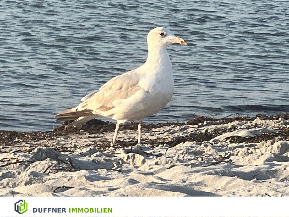 Schoenberger Strand23ml Erdgeschosswohnung Sch�nberg (Holstein) / Sch�nbergerstrand