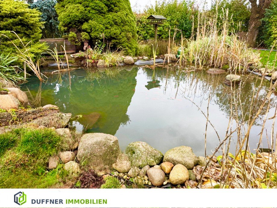 Gartenteich Einfamilienhaus Bad Schmiedeberg